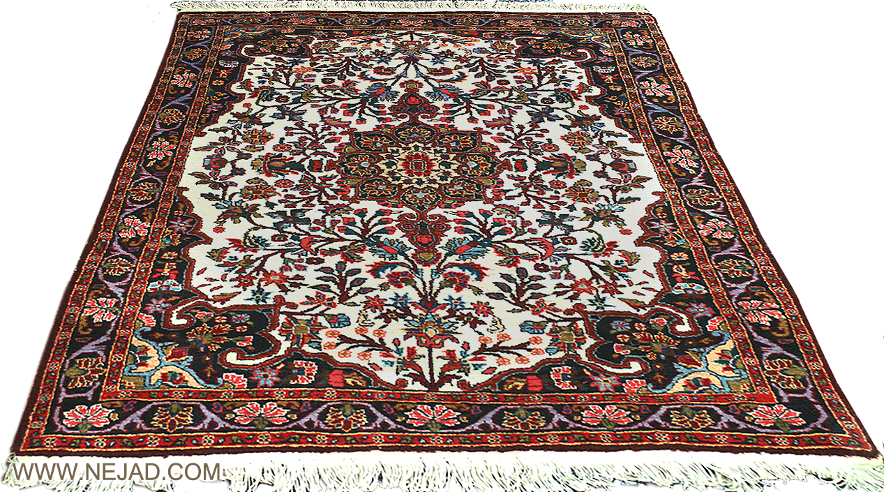 Antique Persian Bidjar Rug - Nejad Rugs #22310