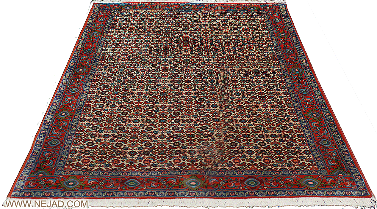 Antique Persian Bidjar Rug - Nejad Rugs #22690