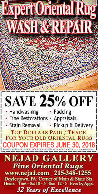 25% Off Oriental Rug Hand Washing - Click to Print Coupon!