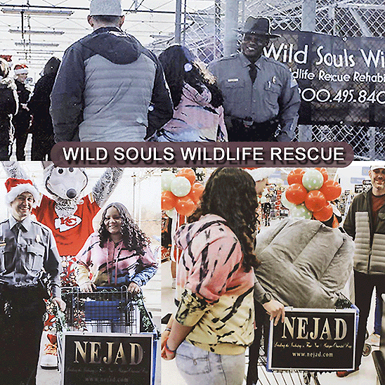 Wild Souls Animal Rescue