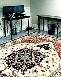 Home office Heriz rug